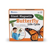 Giant Magnetic Butterfly Life Cycle